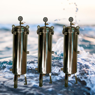 High Flow Stainless Steel Cartridge Filter Housing With Flange