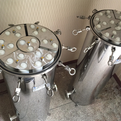 Dagyee DYG-10-40'' Sus304 316 Multi 10 Cartridge Filter Housings Microporous Film Barrel